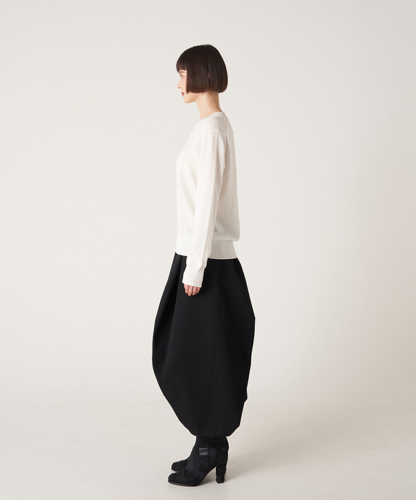 BALL LONG SKIRT 詳細画像 BLACK 11
